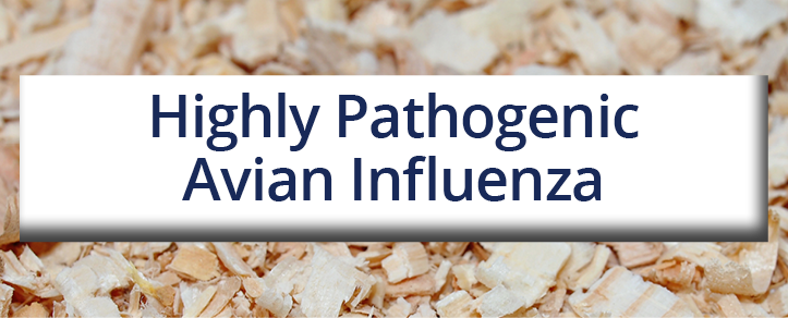 Highly Pathogenic Avian Influenza