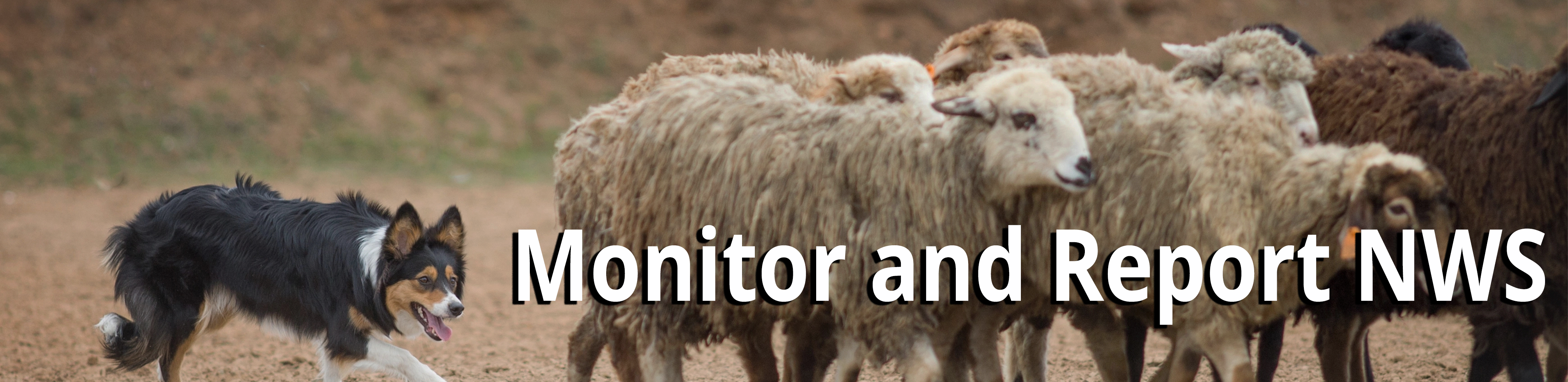 New World Screwworm - Monitor and Report NWS