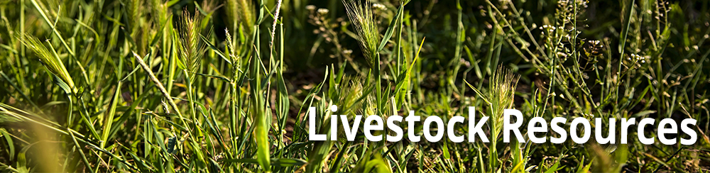 New World Screwworm - Livestock Resources